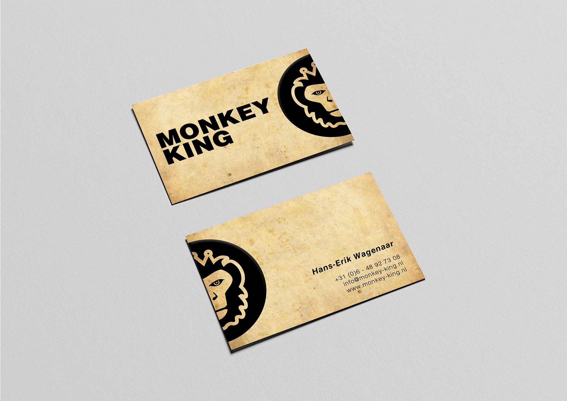 Monkey King 11.jpg