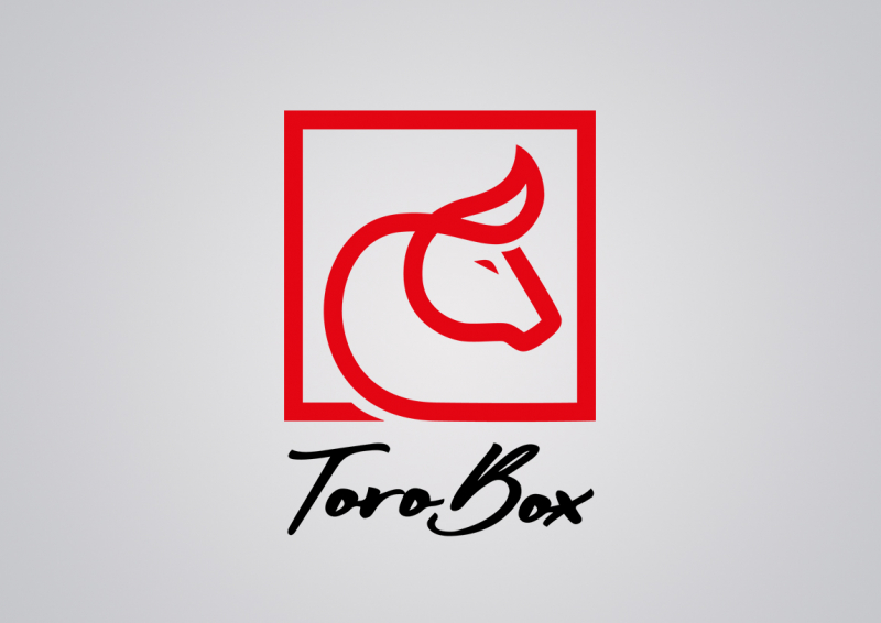 Logo-ToroBox